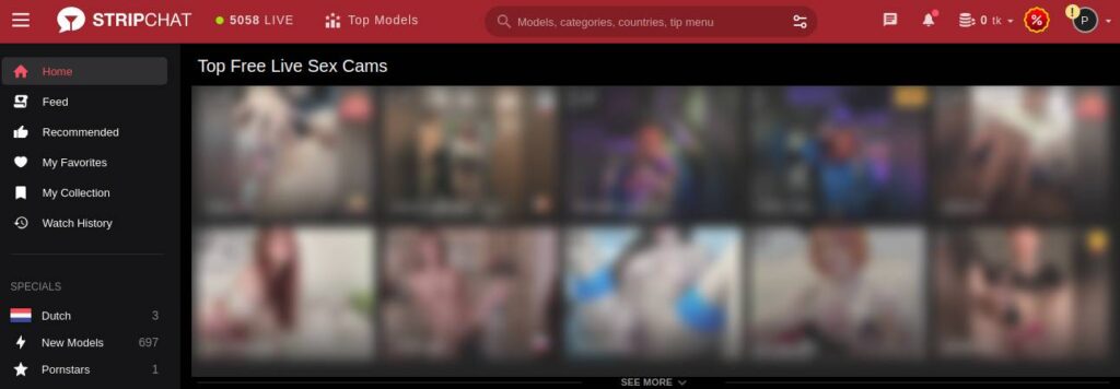 StripChat Cam Site - Main Page