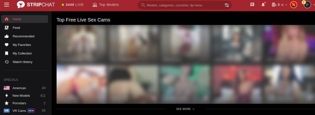 StripChat Sex Cams - Main Page Screenshot